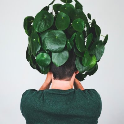 عن انابة plants store gallery img 3